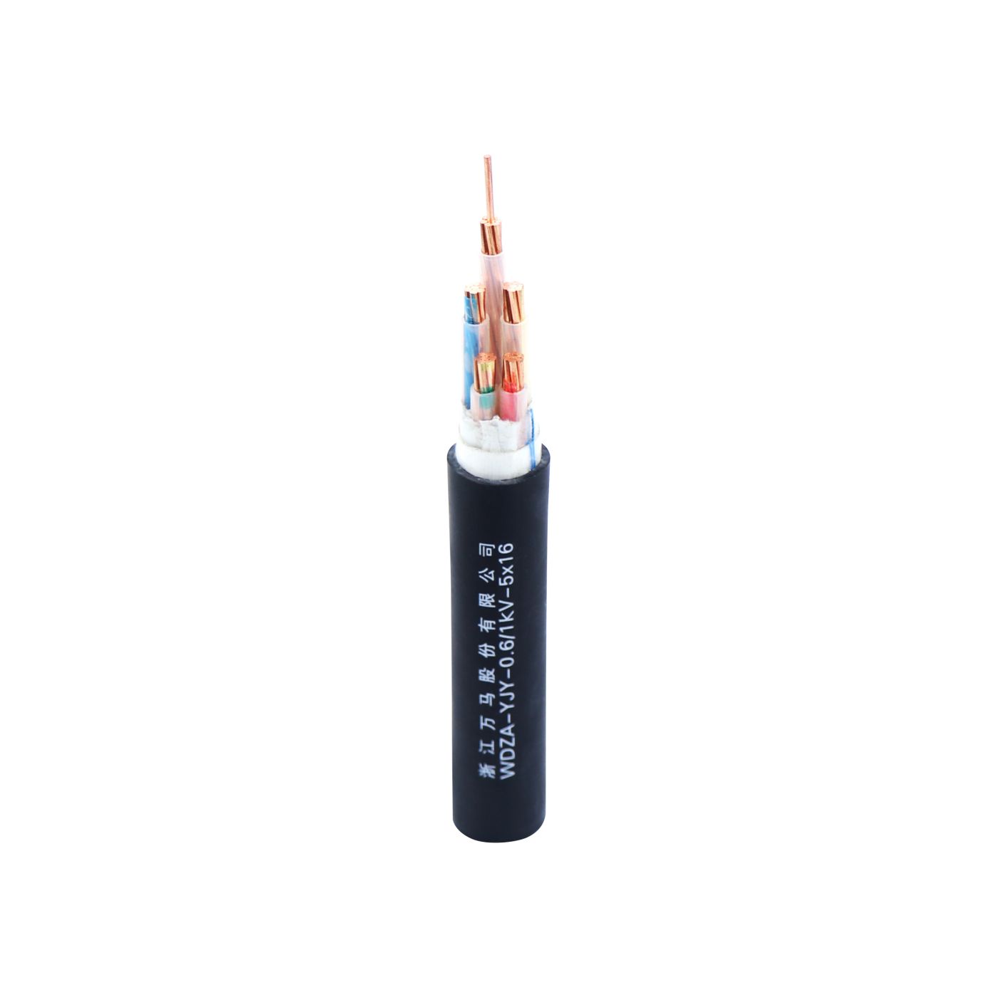 WDZA-YJY-1kV-5X16(2)