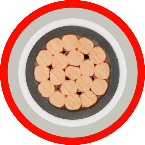 BTLY-1kV-1X120 (3)