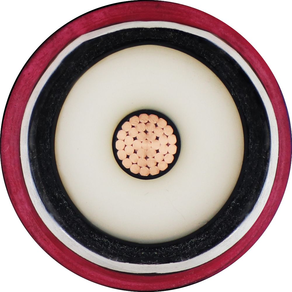 ZC-YJLW02-Z-110kV-1X240 (3)